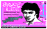 Bruce Lee DOS Game