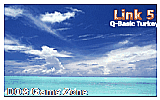 Link 5 DOS Game