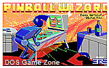 Pinball Wizard DOS Game