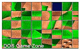 Puzzler DOS Game