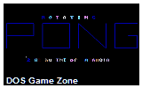 Rotating Pong DOS Game