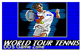 World Tour Tennis DOS Game
