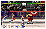 WWF Wrestlemania DOS Game