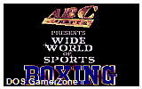 ABC Wide World Of Sports Boxing DOS Game