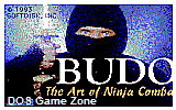 Budo- The Art of Ninja Combat DOS Game