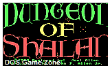Dungeon of Shalan DOS Game