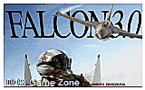 Falcon 3.0 DOS Game