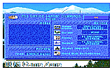Games- Winter Challenge, The DOS Game