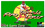 Pro Tennis Tour DOS Game