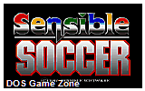 Sensible Soccer European Champions DOS Game