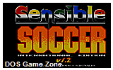 Sensible Soccer International Edition DOS Game