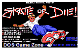 Skate or Die DOS Game