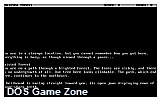 Sorcerer DOS Game