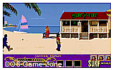 Surf Ninjas DOS Game